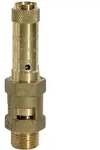 Sicherheitsventil, Messing, G 1, Ansprechdruck 16 Bar - Riegler