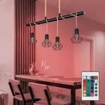 K&auml;fig H&auml;nge Decken Leuchte Fernbedienung Hanfseil Lampe Dimmbar Im Set Inkl....