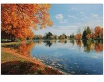 Fototapete Wald See Natur &ndash; Moderne Gro&szlig;format Wandtapete 300x210 Cm &ndash; F&uuml;r