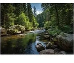 Fototapete Wald Fluss Natur B&auml;ume &ndash; Moderne Gro&szlig;format Wandtapete 350x250...