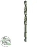 Alpen - Hss Maschinen-holzspiralbohrer Sechskantschaft &Oslash; 10,0 Mm 62201000100