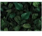 Fototapete Bl&auml;tter Natur Gr&uuml;n &ndash; Moderne Gro&szlig;format Wandtapete 150x105 Cm &ndash;