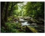 3d Fototapete Wald Bach Natur &ndash; Gro&szlig;format Wandtapete 400x280 Cm &ndash; F&uuml;r