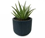 Anthrazitfarbener Pflanzk&uuml;bel, Mit Beh&auml;lter, Kollektion Milly, 34,9 X 34,9 X 29 Cm,
