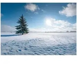 Fototapete Feld Landschaft Natur &ndash; Gro&szlig;format Wandtapete 300x210 Cm &ndash; F&uuml;r
