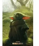 Poster Star Wars Der Mandalorianer Das Kind Art
