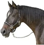 Cabazada Horse Mustang, Nylon, Doppelte Einstellung, Schwarz, Gr&curren;e 3 - Kerbl
