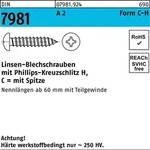 Din 7981 Form C Linsenkopf-blechschraube Vg 5,5x32 Edelstahl A2 Blank Ph 250 Stk