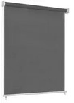 Vidaxl Outdoor Roller Blind 80x230 Cm Anthracite