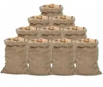 Jutes&auml;cke 10 Stk. 60x105 Cm 100% Jute 340 G/m2 Vidaxl
