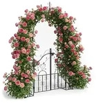 Relaxdays Rosenbogen Mit T&uuml;r, Metall, Garten, H X B X T: 235 X 144 X 45 Cm,