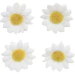 Glorex Streu Margerite Wei&szlig; 18 St&uuml;ck Deko-accessoires