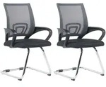 2er Set Freischwinger Eureka Grau