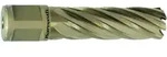 Metallkraft Kernbohrer Gold-line 55 Weldon, &Oslash; 29 Mm, 38720.1270u29