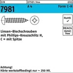 Din 7981-c/iso 7049 Form C Linsenkopf-blechschraube Vg 4,8x25 Edelstahl A4...