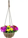Rattan Blumenampel Shabby Chic Mit Folie - 30cm - Weide H&auml;ngeampel Mit...