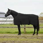Vidaxl Horse Blanket Black 155 Cm Polyester Fleece
