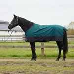 Vidaxl Horse Blanket Dark Green And Black 135 Cm Polyester