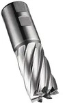 Schaftfr&auml;ser C247 Din 844 K D.25,4mm Schneiden-l.45mm Hss-e-pm Blank 30grad Z.5