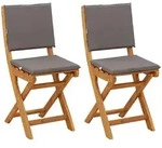 Vidaxl Outdoor Bistro Chairs 2 Pcs Dark Grey Solid Acacia Wood