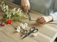 Gartenschere Kikkerland Sc37 Kohlenstoffstahl 3 St&uuml;ck