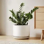 Keramik-blumentopf 25cm Mit Untersetzer, Matt-wei&szlig;, Minimalistisch
