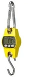 Toolland - Perel Kranwaage, Digital, 300 G Bis Zu 300 Kg, Automatische...