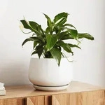 Keramik Blumentopf 25cm Mit Untersetzer, Mattwei&szlig;, F&uuml;r Innenbereiche