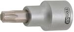 3/8' Bit-stecknuss F&uuml;r Torx-schrauben Am Bremssattel, T40
