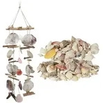2 Teiliges Deko Set, Windspiel Treibholz Mit Capiz-muscheln, Muschel Mix Mit