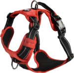 Pettorina Rossa 2,5 X 46-70 Cm: Red Anti-pulling L&auml;tzchen Modell Rando Walk...