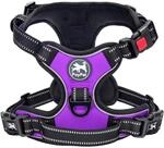 Hundegeschirr Ohne Ziehen, Front-d-ring, Verstellbar, Mit Griff, Violett,...