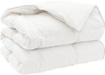 Bettdecke Fulda 240 X 260 Cm 4 Jahreszeiten 210 Gsm Wei&szlig; Vidaxl
