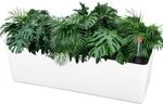 Selbstbew&auml;ssernder Blumentopf 40cm Rechteckig Mit Wasserstandsanzeige Und