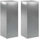 Pflanzenst&auml;nder 2 Pcs Silber 30 X 30 X 80 Cm Edelstahl Vidaxl