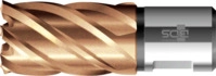 Bds - Kernbohrer Hss Vp Kurz 44/30mm Kbk