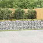 Gabionen-hochbeet Mit Hochbogen 600x100x100 Cm Verzinktes Eisen Vidaxl