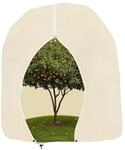 Pflanzenschutzhaube 200x240cm Mit Rei&szlig;verschluss Und Zugband F&uuml;r...