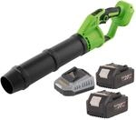 Procraft Pb24bb Akku Laubbl&auml;ser 20 V Brushless + 2x Akku 4,0 Ah + Ladeger&auml;t