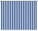 Vidaxl Outdoor Roller Blind 90% Uv Block Blue And White Stripe
