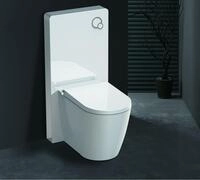 Wei&szlig;glas Sanit&auml;rmodul F&uuml;r Stand-wc Inkl. Bet&auml;tigungsplatte