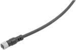 Riegler M8-steckdose, 3-polig, 2,5 M Kabel, High Flex Cl6