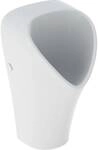 Urinal Narva, Ohne Zulauf, Abgang Nach Hinten, Rimfree, - Geberit