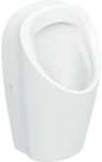 Geberit Renova L Urinal, Zulauf Von Hinten, Abgang Hinten Und