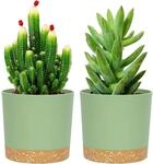 Blument&ouml;pfe 2er Set 12,7 Cm Mit Untersetzer, F&uuml;r Innen & Au&szlig;en, Gr&uuml;n