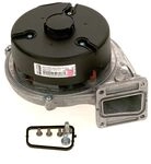 Bosch Gebl&auml;sepebm D118 Ac230 50 120w Pwm Everp, 8718595370