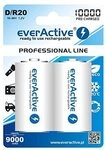 Everactive Professional R20 Aku 2bl 10000