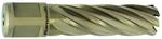 Metallkraft Kernbohrer Gold-line 55 Weldon &Oslash; 53mm