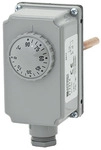 Esbe Tauchthermostat Tia122, Spdt 0-90 Grd., 200mm, 86901200