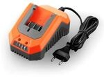 Fuxtec Li-ion Schnell-ladeger&auml;t 2,4a 70w Fx-e1lg2a &ndash; F&uuml;r 2ah & 4ah Batterie